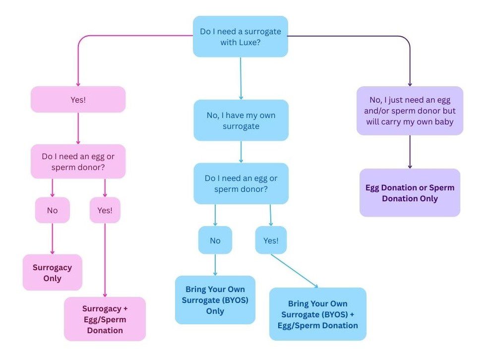 Flowchart showing intended parent options including surrogacy, egg donation, sperm donation, and bring your own surrogate